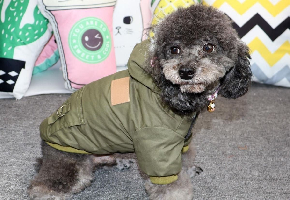 New autumn and winter pet dog double-layer plush collar workwear, cotton coat, hiking suit, small dog winter suit, warm cotton coat