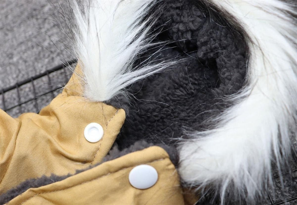 New autumn and winter pet dog double-layer plush collar workwear, cotton coat, hiking suit, small dog winter suit, warm cotton coat