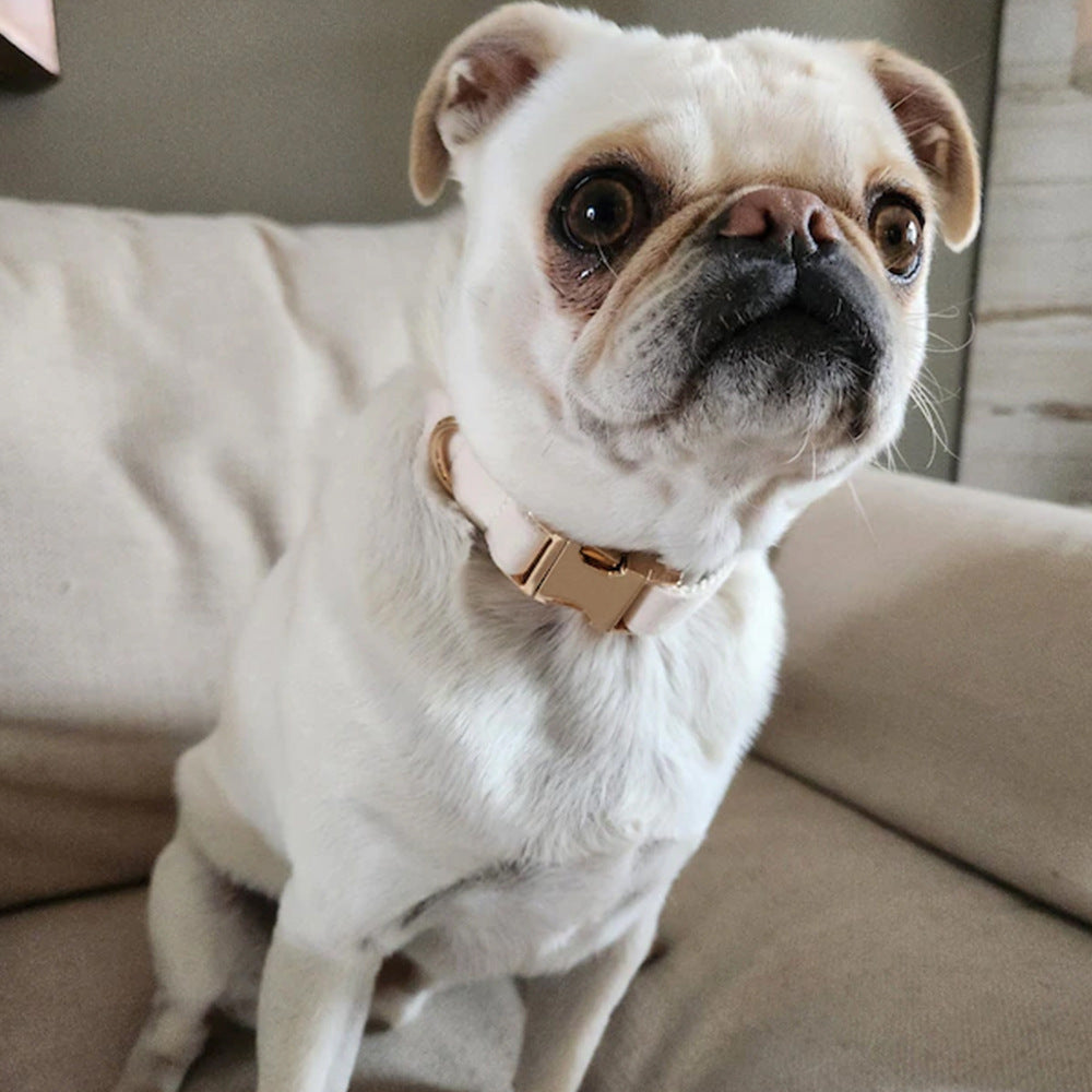 Soft Velvet Dog Collar – Custom Laser Engraving, Stylish & Durable