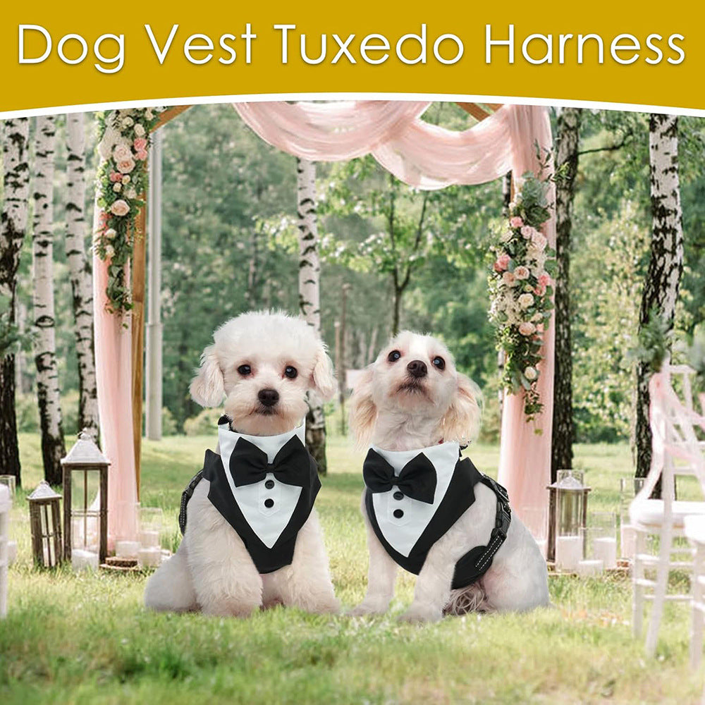 Pet Harness Suit Set – Wedding Style Dog Clothes & Leash