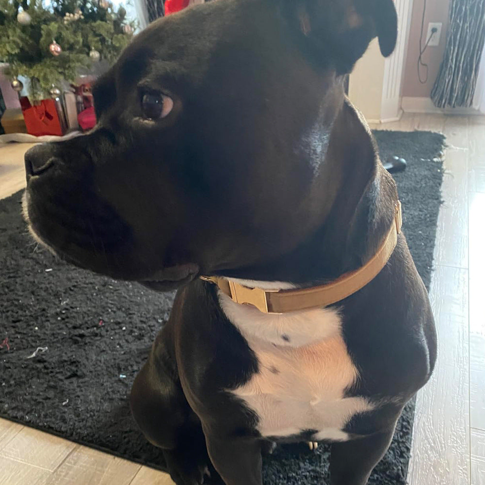 Soft Velvet Dog Collar – Custom Laser Engraving, Stylish & Durable